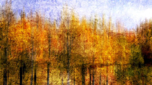1666372 (a): :2560x1440